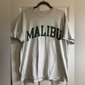 Gray T-Shirt with Green Print
